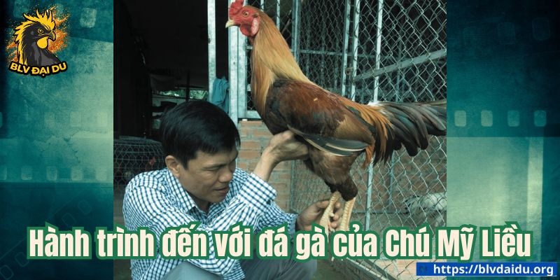 Hành trình đến với đá gà của Chú Mỹ Liều