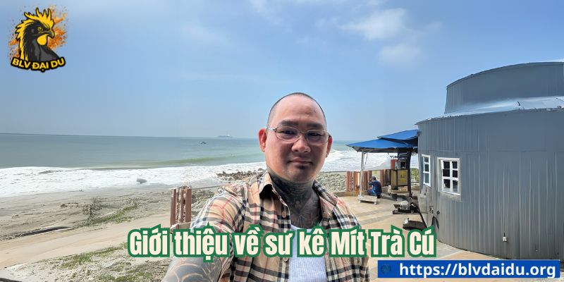Giới thiệu về sư kê Mít Trà Cú
