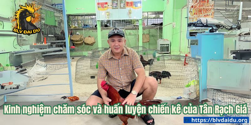 Kinh nghiệm chăm sóc và huấn luyện chiến kê của Tân Rạch Giá