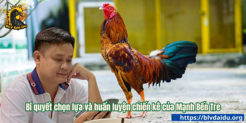 Bí quyết chọn lựa và huấn luyện chiến kê của Mạnh Bến Tre