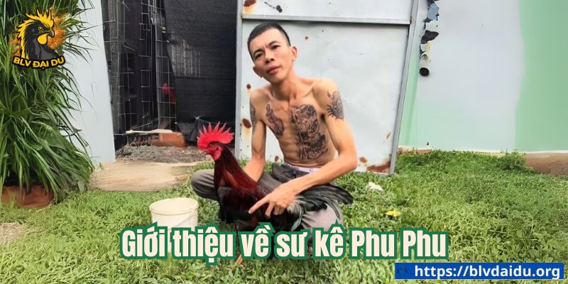 Giới thiệu về sư kê Phu Phu