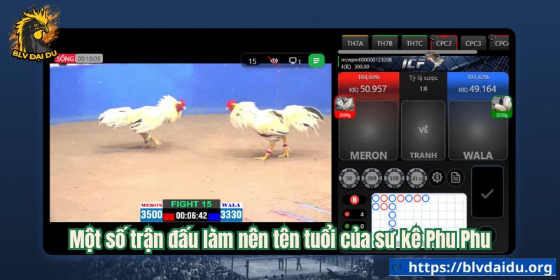 Một số trận đấu làm nên tên tuổi của sư kê Phu Phu