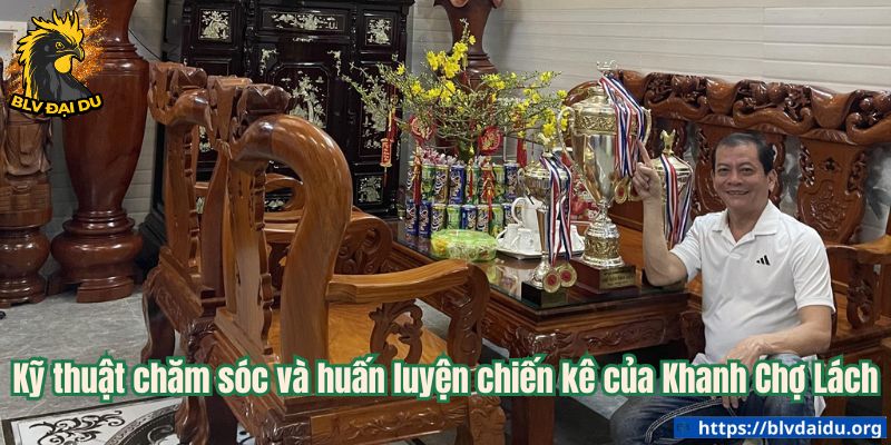 Kỹ thuật chăm sóc và huấn luyện chiến kê của Khanh Chợ Lách