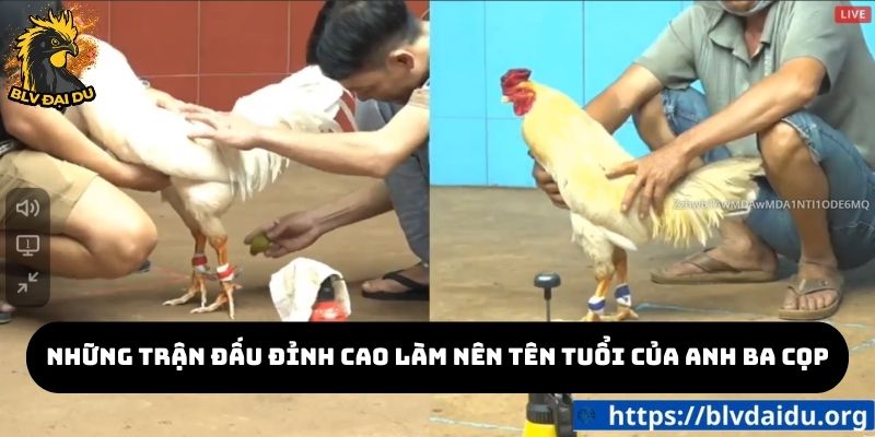 Những trận đấu đỉnh cao làm nên tên tuổi của Anh Ba Cọp