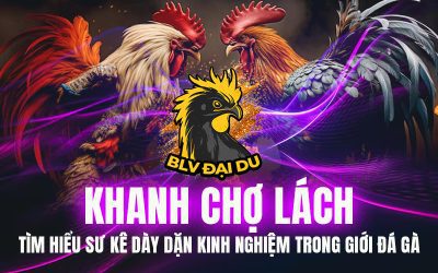 Khanh Chợ Lách – Tìm Hiểu Sư Kê Dày Dặn Kinh Nghiệm Trong Giới Đá Gà