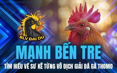 Mạnh Bến Tre – Tìm Hiểu Về Sư Kê Từng Vô Địch Giải Đá Gà Thomo