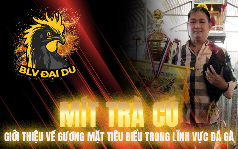 Mít Trà Cú - Giới Thiệu Về Gương Mặt Tiêu Biểu Trong Lĩnh Vực Đá Gà