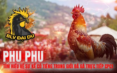Phu Phu – Tìm Hiểu Về Sư Kê Có Tiếng Trong Giới Đá Gà Trực Tiếp CPC1