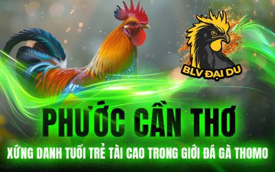 Phước Cần Thơ – Xứng Danh Tuổi Trẻ Tài Cao Trong Giới Đá Gà Thomo