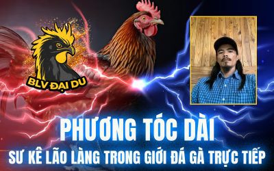 Phương Tóc Dài – Sư Kê Lão Làng Trong Giới Đá Gà Trực Tiếp