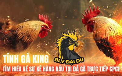 Tính Gà King – Tìm Hiểu Về Sư Kê Hàng Đầu Tại Đá Gà Trực Tiếp CPC1