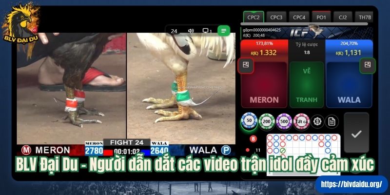 BLV Đại Du – Người dẫn dắt các video trận idol đầy cảm xúc