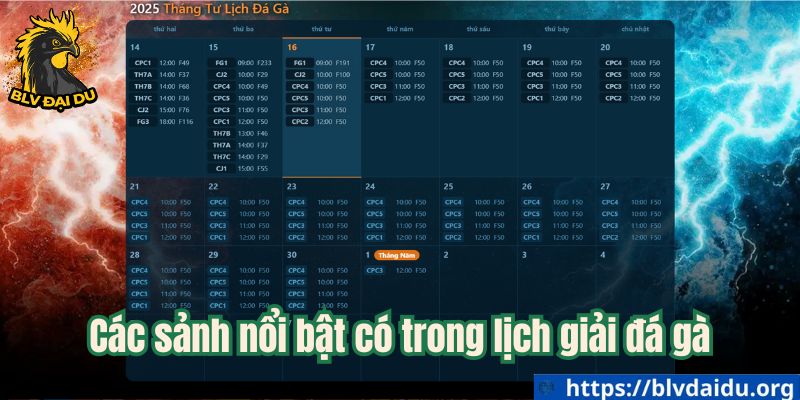 Các sảnh nổi bật có trong lịch giải đá gà