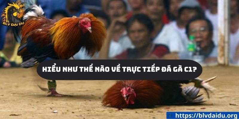 Hiểu như thế nào về trực tiếp đá gà c1?