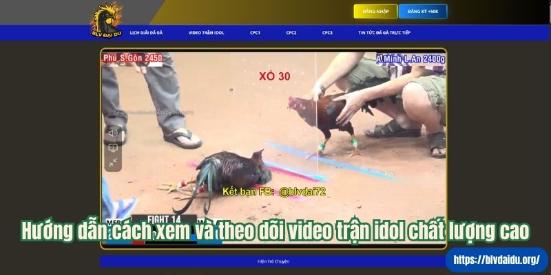 Hướng dẫn cách xem và theo dõi video trận idol chất lượng cao