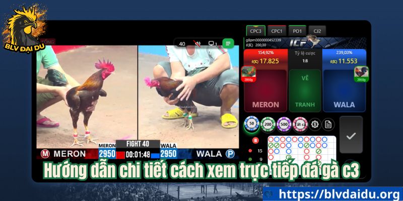 Hướng dẫn chi tiết cách xem trực tiếp đá gà c3