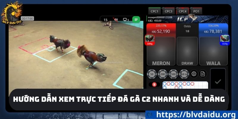 Hướng dẫn xem trực tiếp đá gà c2 nhanh và dễ dàng