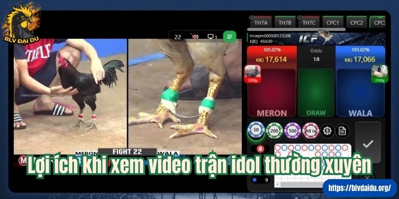 Lợi ích khi xem video trận idol thường xuyên