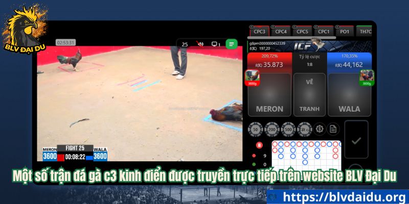 Một số trận đá gà c3 kinh điển được truyền trực tiếp trên website BLV Đại Du