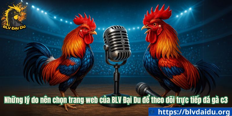 Những lý do nên chọn trang web của BLV Đại Du để theo dõi trực tiếp đá gà c3