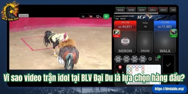 Vì sao video trận idol tại BLV Đại Du là lựa chọn hàng đầu?